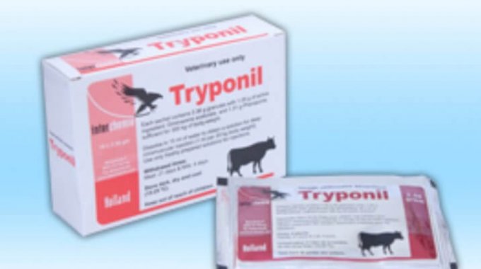 TRYPONIL TRYPONIL